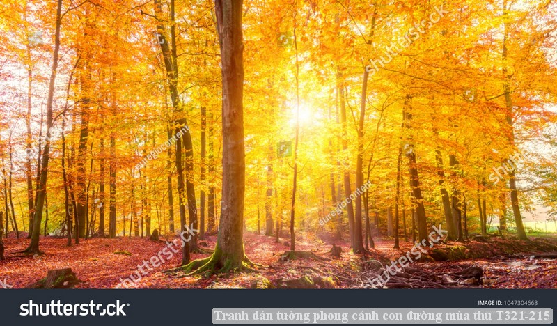 Tranh dán tường phong cảnh con đường mùa thu T321-215